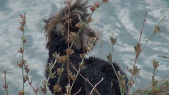 Велотур Таганрог смотреть онлайн