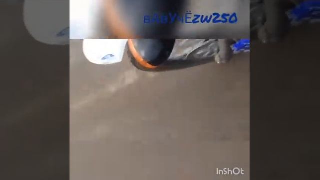 Raptor 250 смотреть онлайн