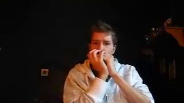 Testing custom harmonica смотреть онлайн