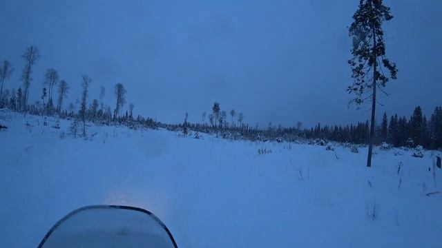 Шок! Косачи вылетают прямо из под снегохода!