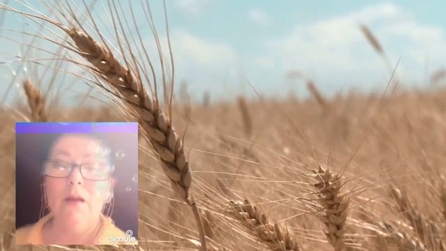 Екатерина Гурылева. Русское поле (муз. Ян Френкель - сл. Инна Гофф) смотреть онлайн