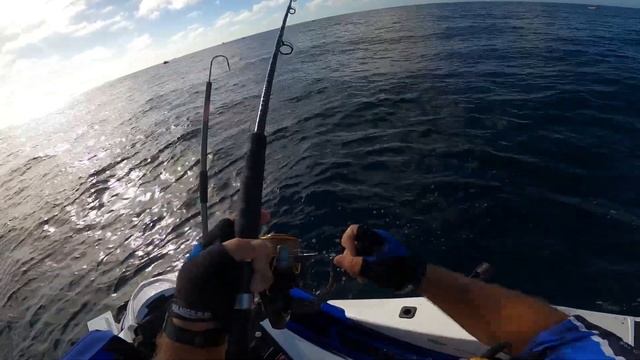 110cm Spanish Mackerel Sunshine Coast