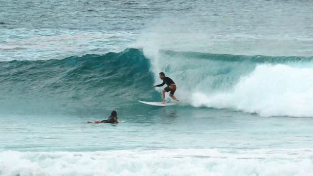 A Pro Steals The Show Amongst the Average Joes - Snapper Rocks - Sunday 29 Oct 23 смотреть онлайн