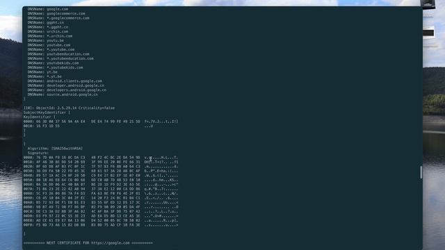 Extract Server Certificates - Certificate Ripper Demo смотреть онлайн