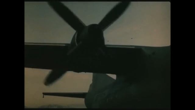 ЧЁРНЫЙ ТЮЛЬПАН,  РОЗЕМБАУМ В АФГАНИСТАНЕ