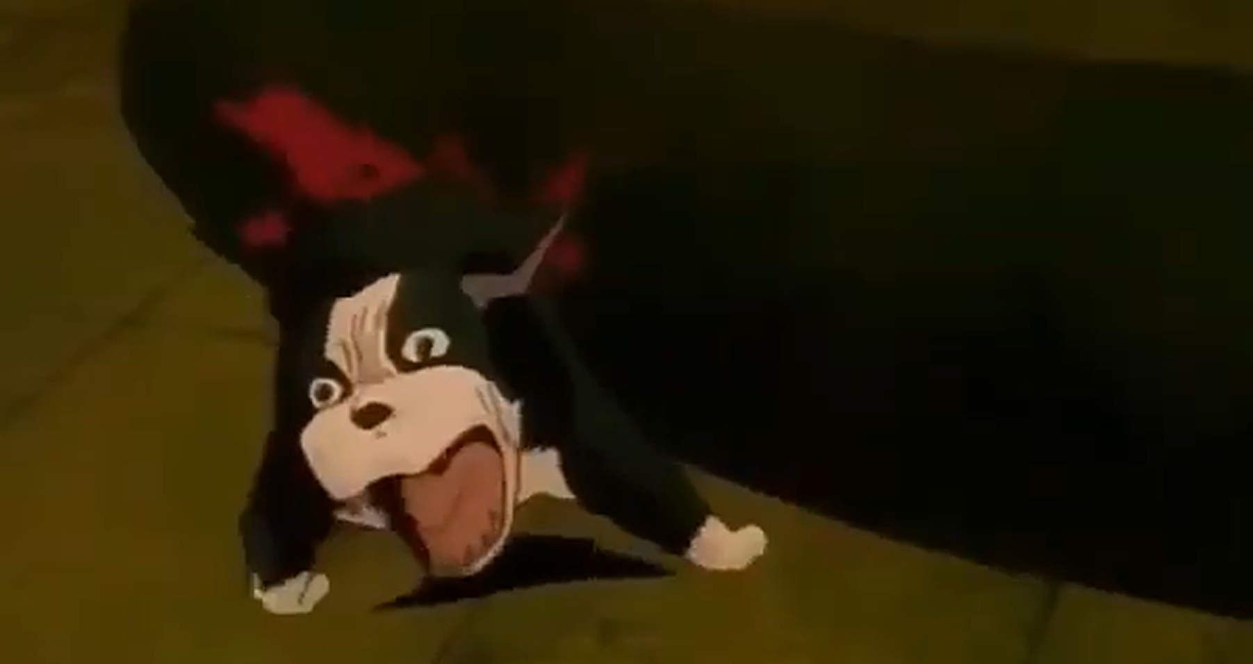 Iggy Meme Complition