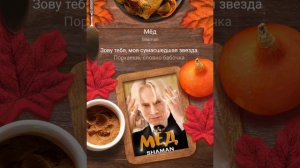 #мёд#твои губы как мёд 🍯 #рек #хобби #караоке #поюкакмогу #tiktok #музыка #пою 2#дуэт #любые#шаман#