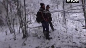 Охота на норку с лайками. Охота с лайкой . 2018