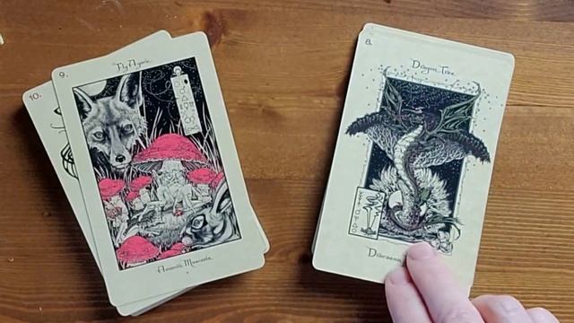 Magical Botanicals Oracle Walkthrough SO EXCITING! смотреть онлайн