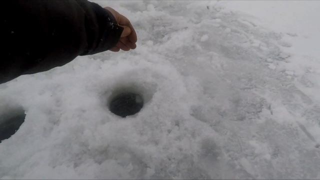 ЗИМНЯЯ ловля КАРПА со льда!!! Карп не пролазит в лунку! ТРОФЕЙ 2022 !!! смотреть онлайн