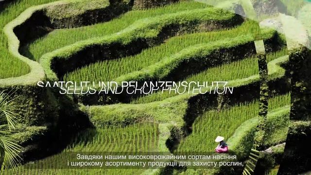 The Life Science Company Bayer AdShot Creative 20150729 смотреть онлайн