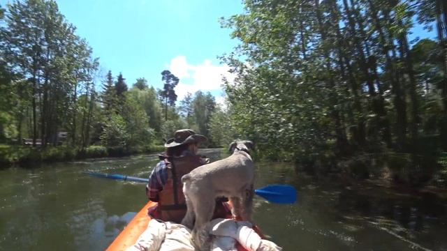Сплав по Свислочи через весь Минск на байдарке смотреть онлайн