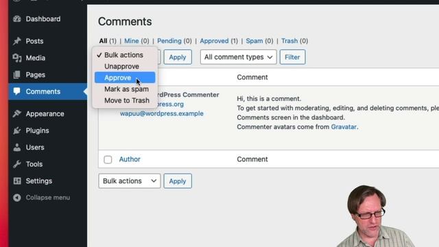 WordPress Comments смотреть онлайн
