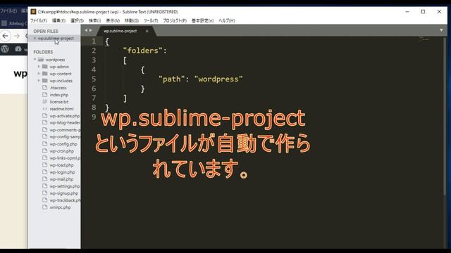PHP入門[番外編2]【Xdebug3.0以降では動作しません】Sublime Textでremote debug(リモートデバッグ)する方法 【Xdebug 2.9.2使用】 смотреть онлайн