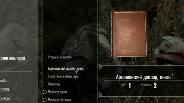 Проходим Skyrim #19 Заброгшенные шахты!!! смотреть онлайн