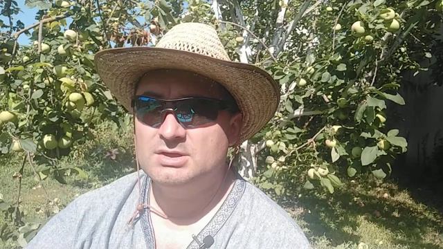 9 шагов к высокому давлению смотреть онлайн