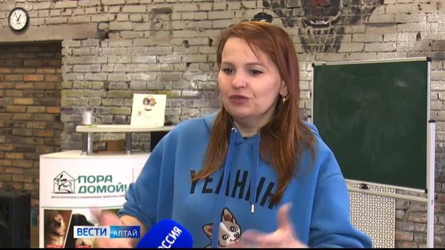В барнаульском приюте для бездомных животных «Ласка» провели День открытых собак смотреть онлайн