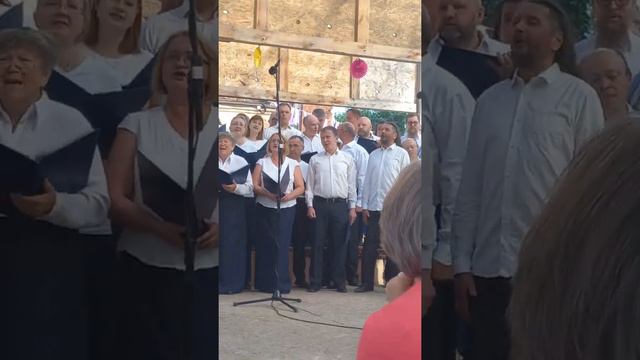 Хор любителей пения на заводе город Сысерть песня 