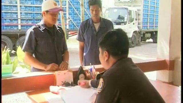 FAO and H5N1 - Bird Flu in Indonesia and Vietnam смотреть онлайн