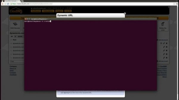How to setup Dynamic DNS on Linux with ClouDNS