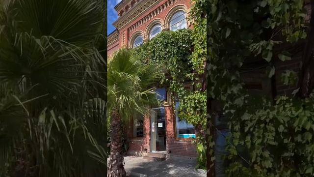 Полезный #лайфхак как отвлечься и снять тревожность… Почисти телефон и проживи снова те эмоции??❤️ смотреть онлайн