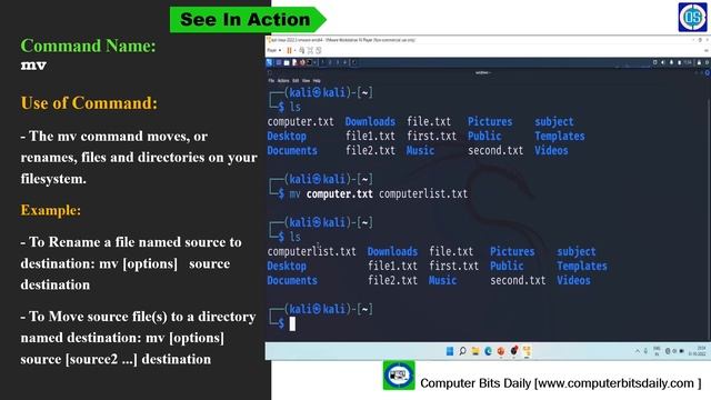 Learn Linux File Command with example - [ Linux command Example ] смотреть онлайн