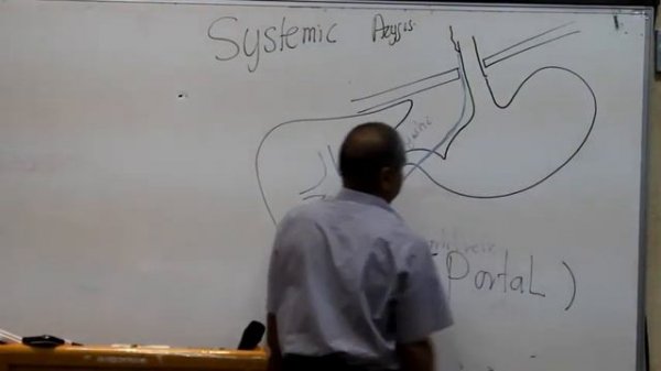 GIT Block Lec4 Prof Wagih "female" part 5 end