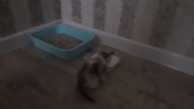 А ЭТО СЭНДИ, ЕСЛИ ЧТО МЫ ЕЁ ПОСЛЕ СЪЁМОК ПЕРЕИМЕНОВАЛИ В СЭНДИ. смотреть онлайн