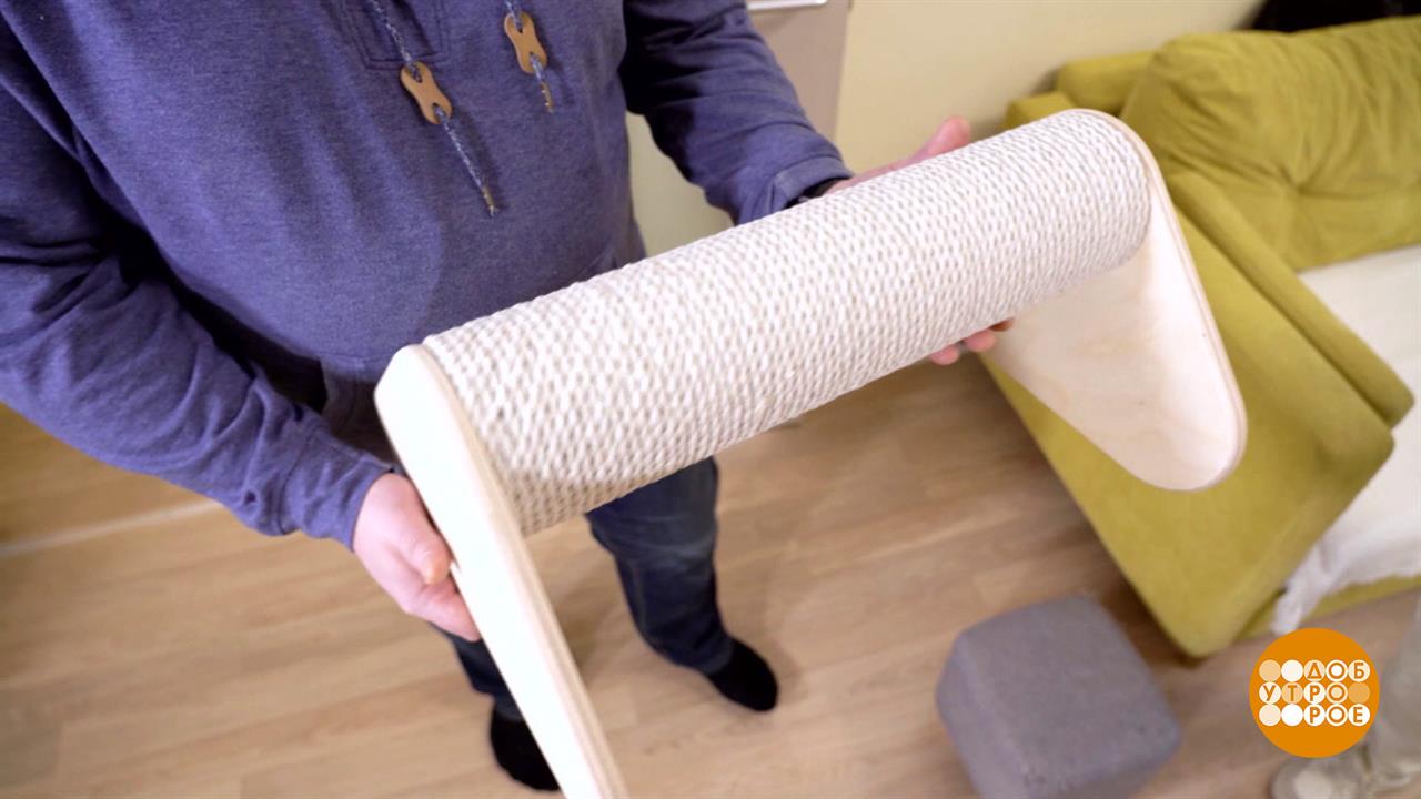 Идеальная когтеточка. Доброе утро. Суббота. Фрагмент выпуска от 25.03.2023
