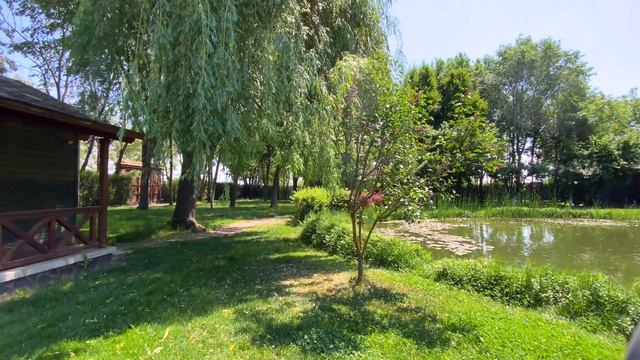 Relaxing Acacia Village | Walking baby in stroller | POV - Virtual tour | 4K смотреть онлайн
