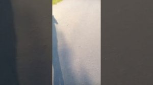 Друг прикольно упал с самоката