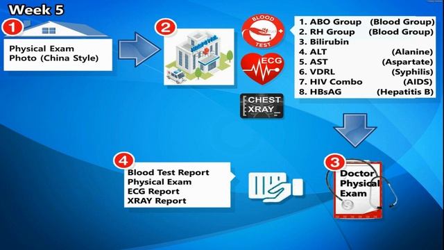 China Z Visa for South Africans: Step-by-Step смотреть онлайн