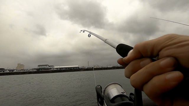 ダイソー釣具のちょい投げ仕掛けで魚釣り【釣り車中泊】福島県松川浦新漁港202111 смотреть онлайн