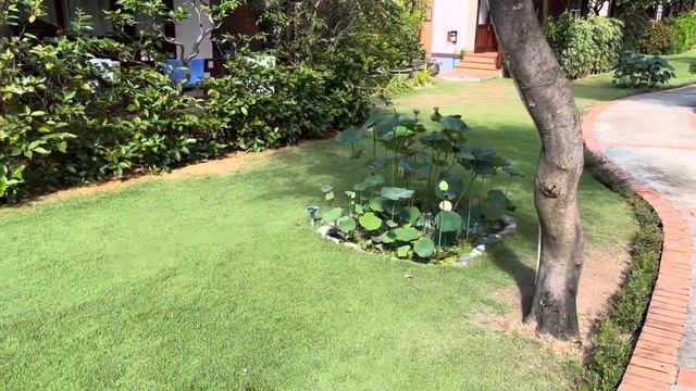 Дорогой дневник. Д1068. Перезалив. смотреть онлайн