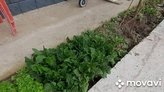 Делаю парковку около дома. смотреть онлайн