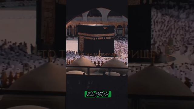 АНГЕЛЫ СПРОСИЛИ АЛЛАХА О ЧЕЛОВЕКЕ!koran #ислам #напоминание#красивоечтениекорана#чечня #дагестан смотреть онлайн