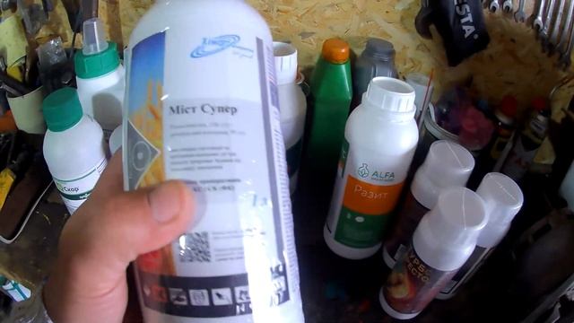 Чим та коли обробляти персик ,абрикос та сливу.Дієві препарати проти хвороб. смотреть онлайн