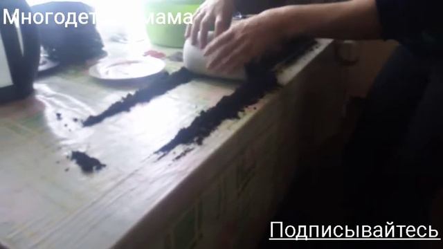 Посев баклажанов в улитку.