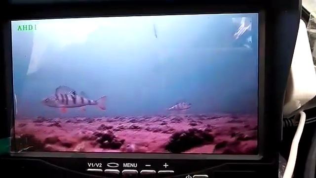 Подводные съёмки, со слов автора 10м смотреть онлайн