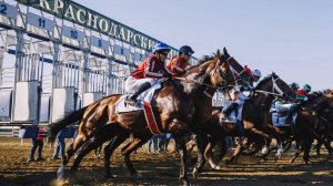 Краснодарский ипподром ПРИЗ ФРАГРАНТА 17 августа 2024г.