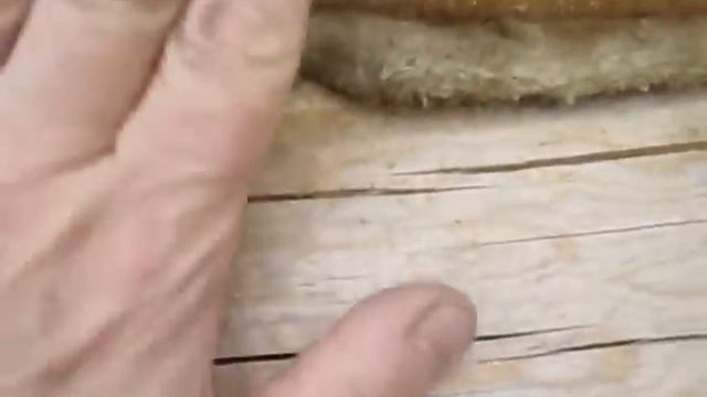 Ошибки при укладке межвенцового утеплителя в срубе смотреть онлайн