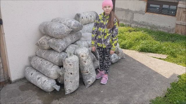 Чем заняться с детьми на самоизоляции? смотреть онлайн