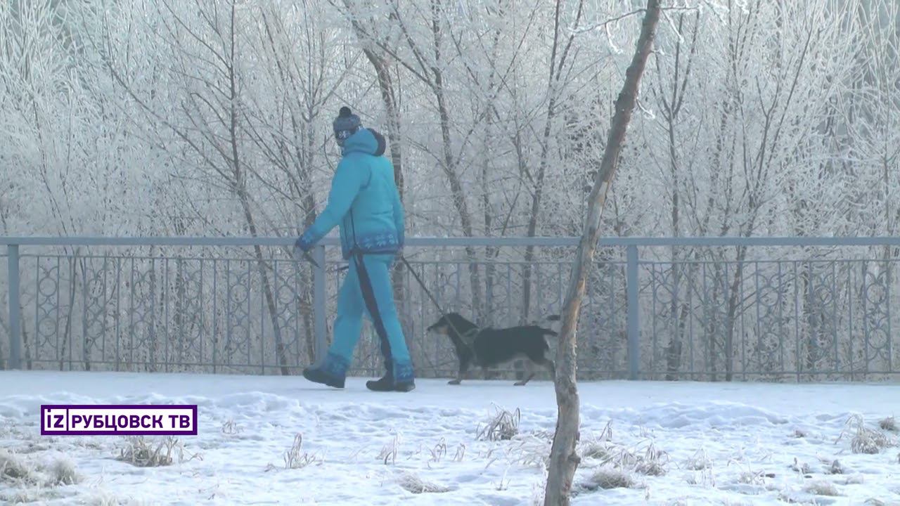 Жизнь по-новому смотреть онлайн