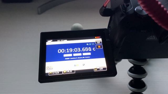 Canon R6 | Overheat | Тест на перегрев Canon R6