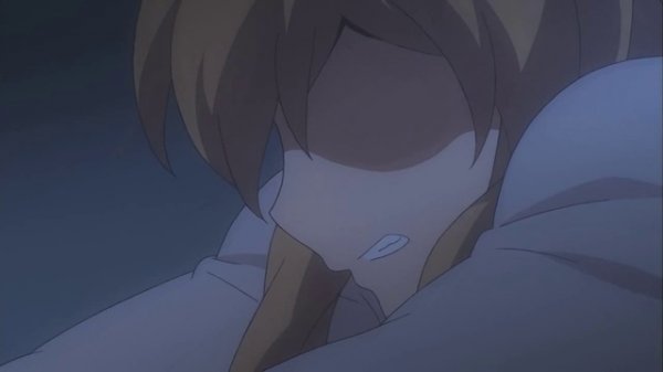 Toradora! Capítulo 1 doblaje español