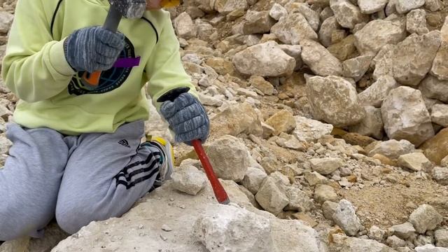 Палеонтологическая экспедиция. Домодедовский карьер. Раскопки смотреть онлайн