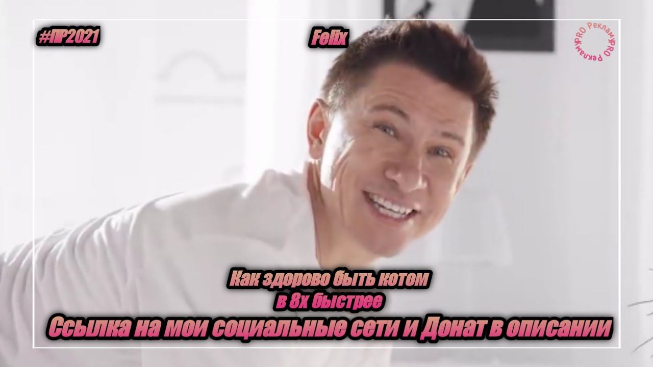 Felix — «Как здорово быть котом» в 8х быстрее | PRO Рекламу | Vk.com/sd__music