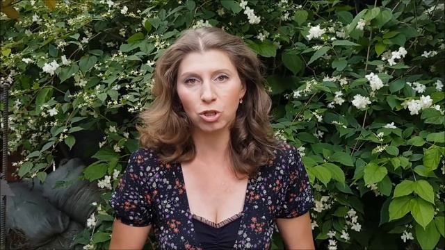 Обильно цветущие клематисы! Как этого добиться! смотреть онлайн