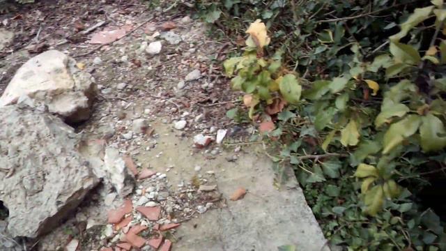 заброшенный дом где происходит паронормальное смотреть онлайн