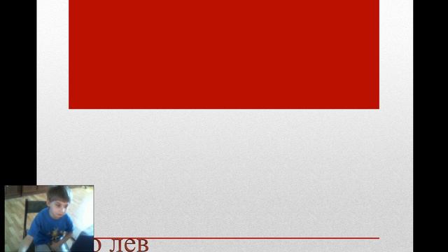 Африканские животные